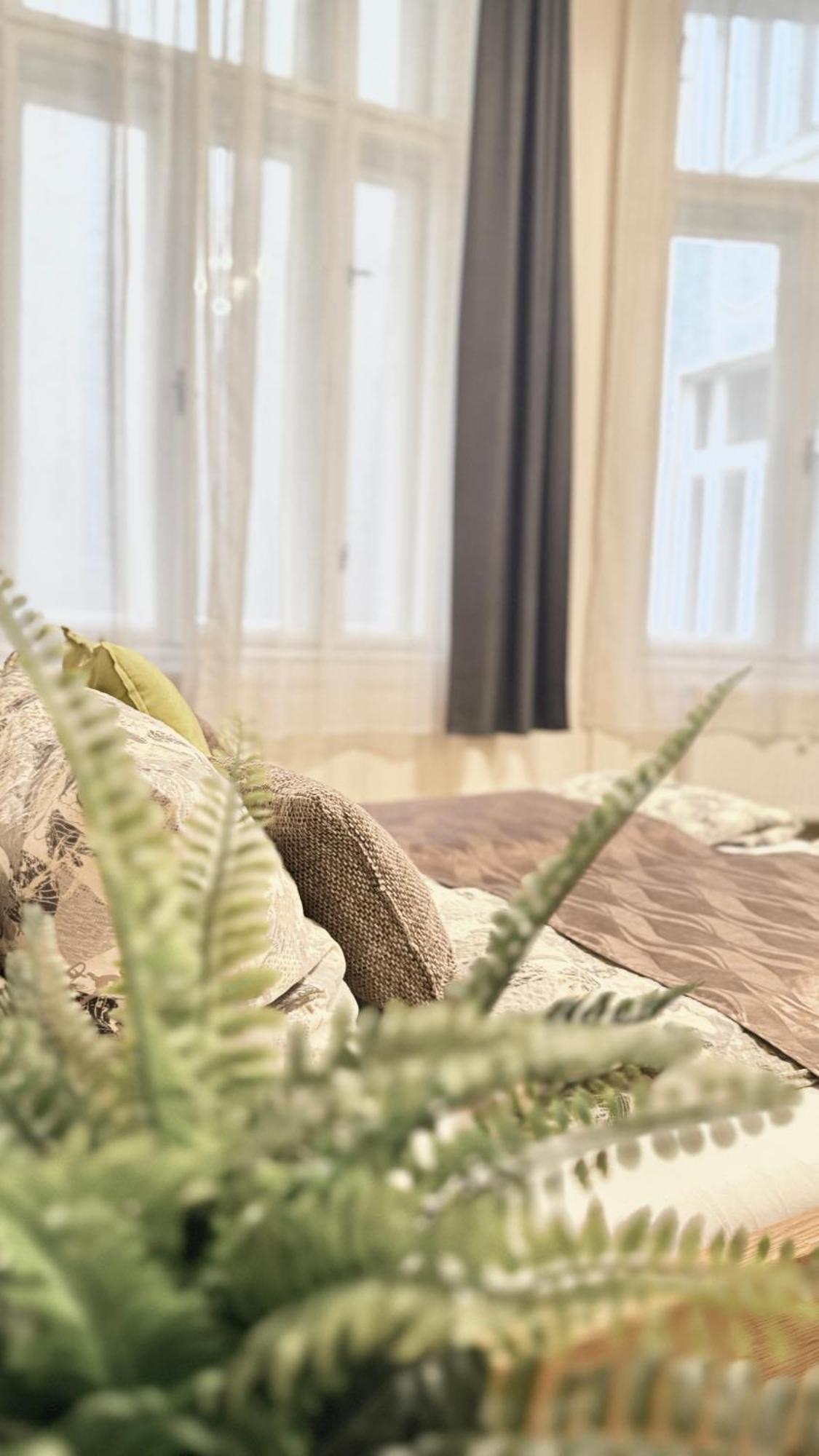 布达佩斯City Centrum Fashionstreet Apartman公寓 外观 照片