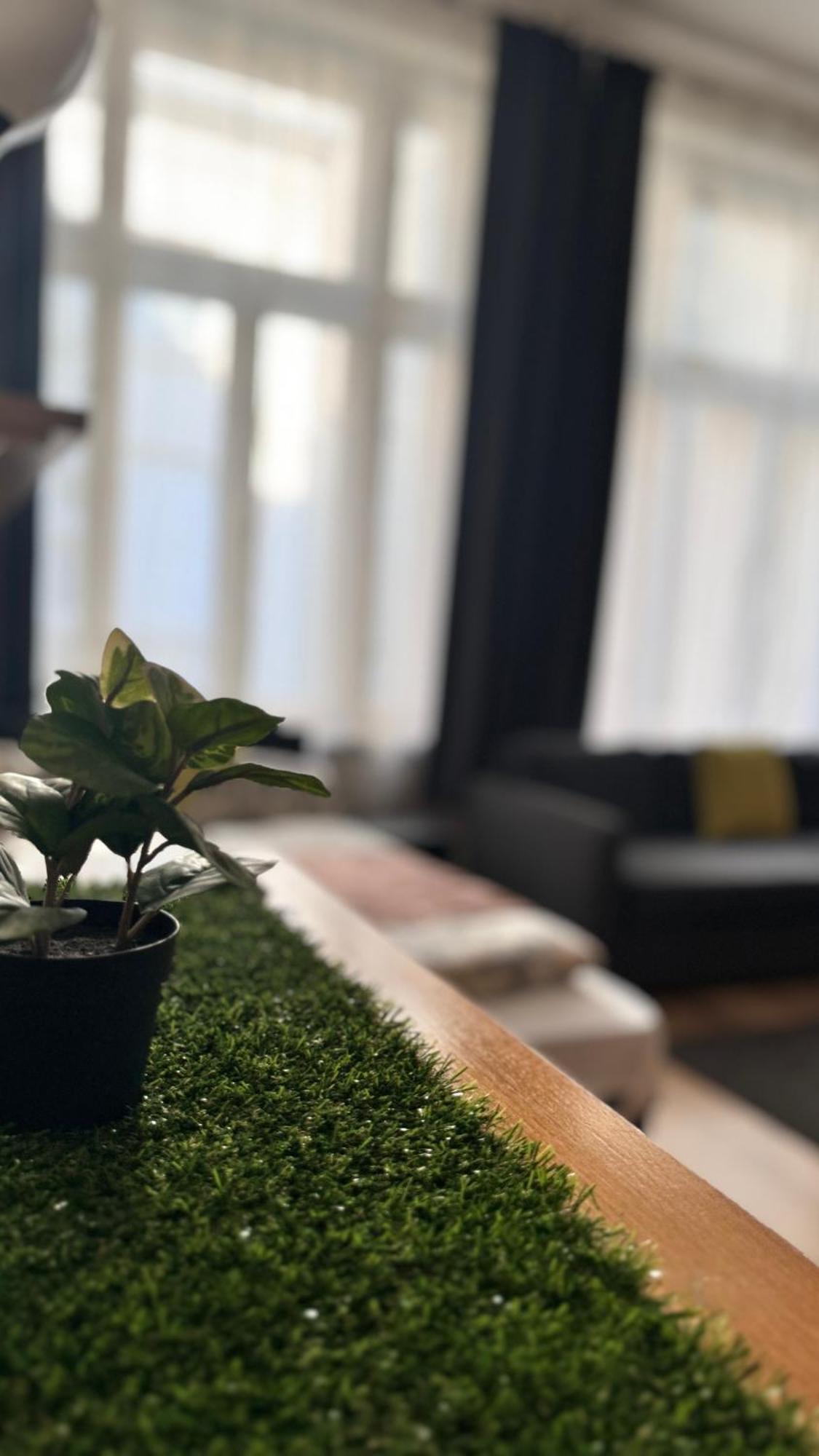 布达佩斯City Centrum Fashionstreet Apartman公寓 外观 照片